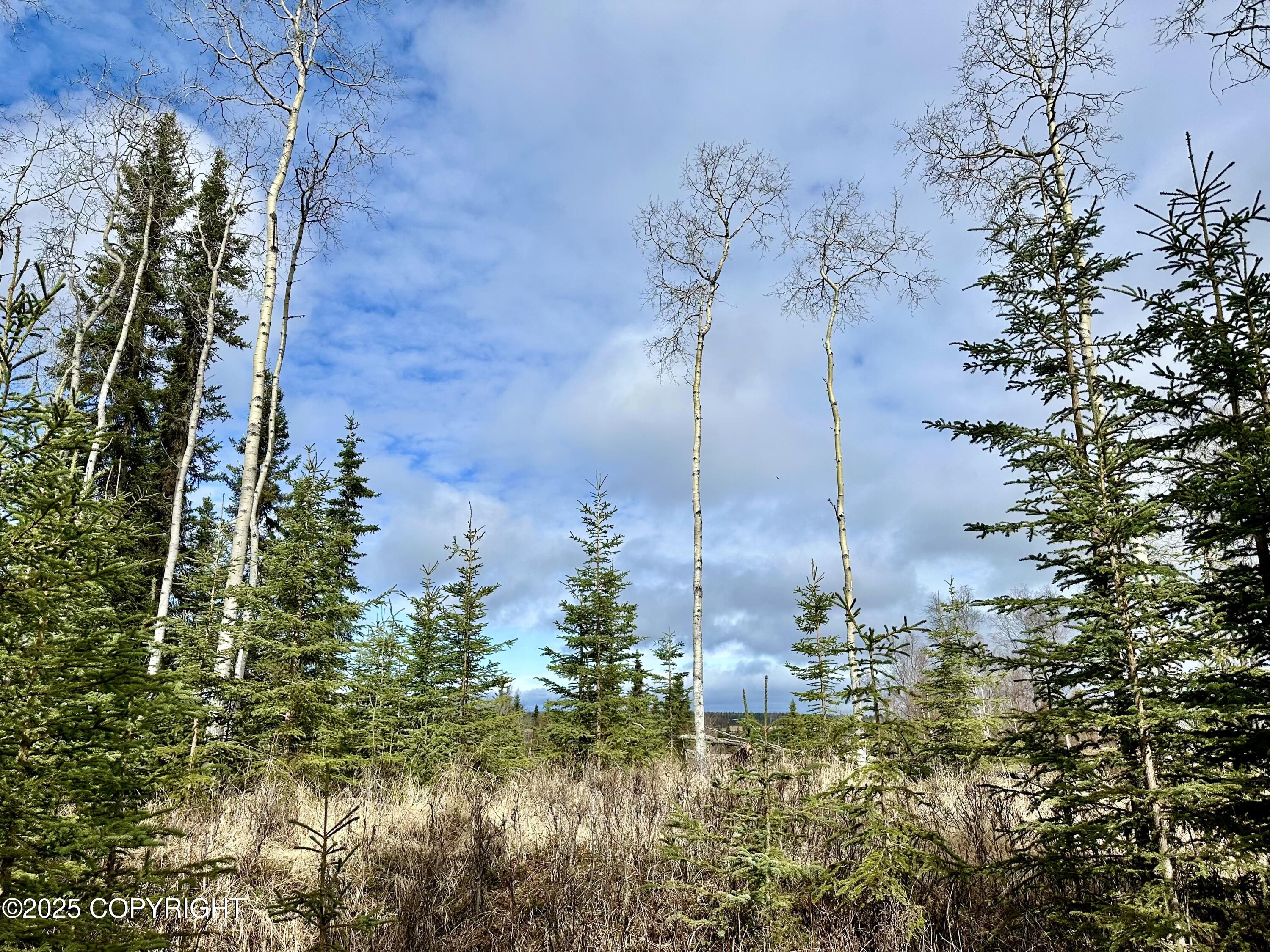 25006 Silver Fox Drive, Kasilof, Alaska image 7