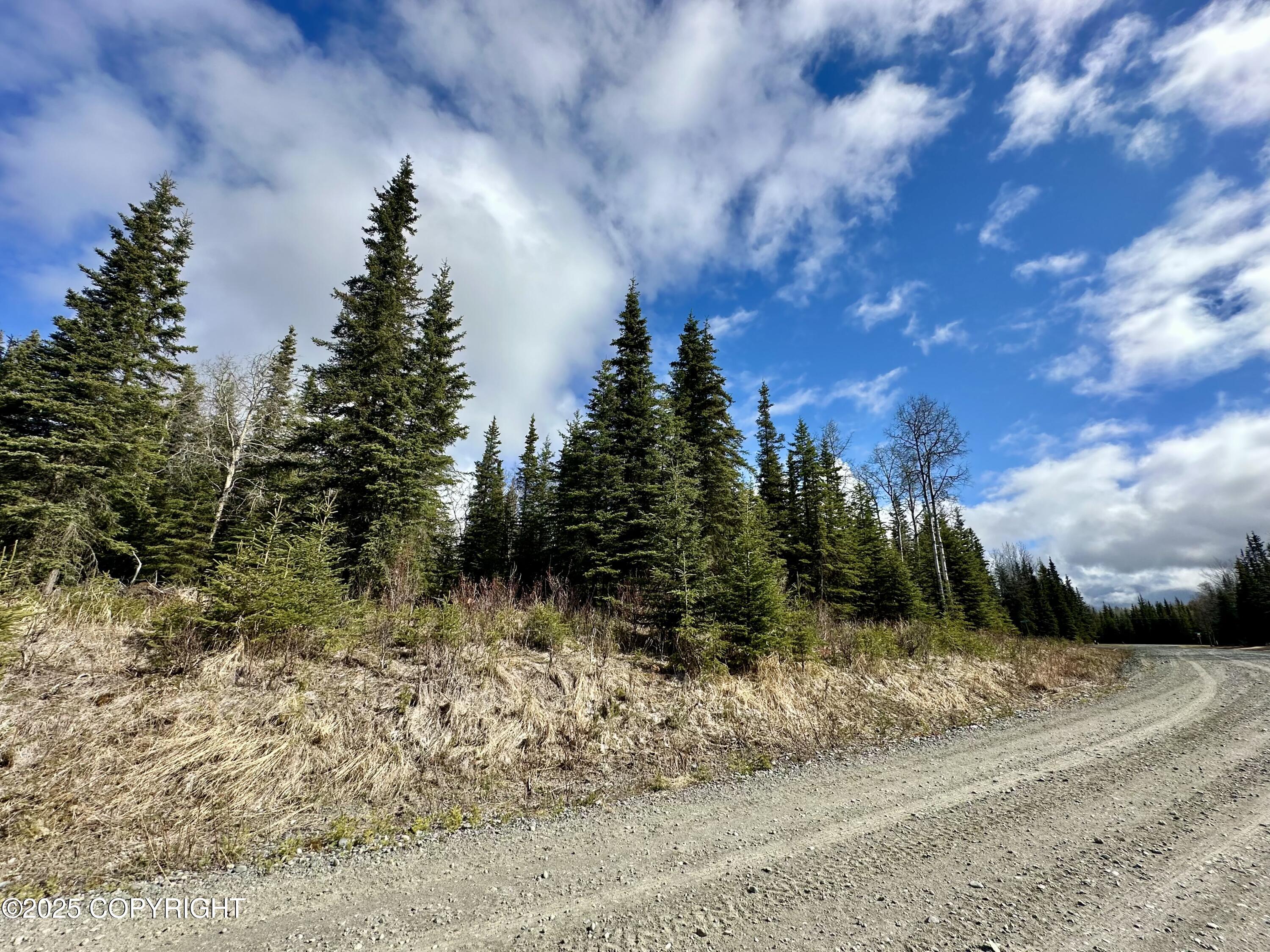 25006 Silver Fox Drive, Kasilof, Alaska image 12
