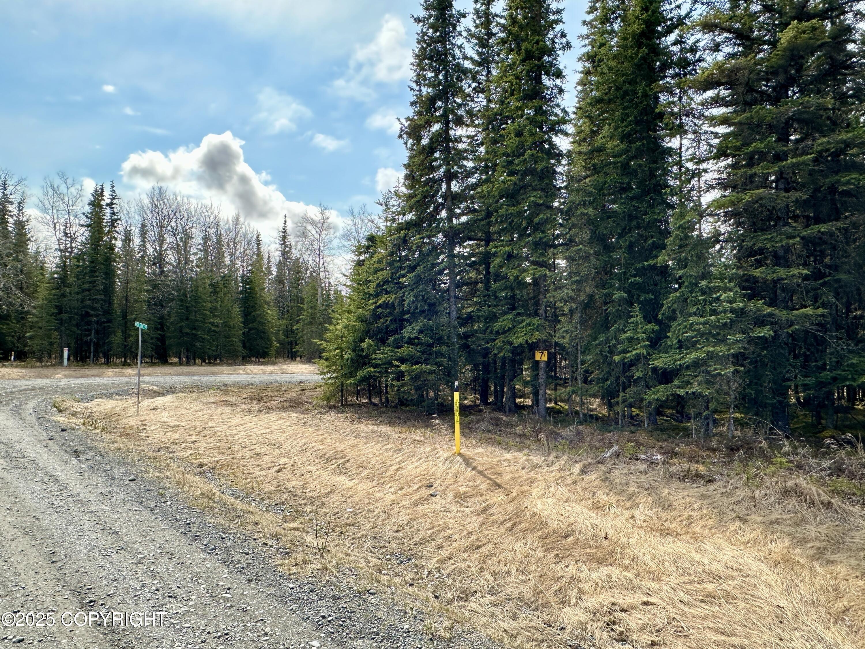 25006 Silver Fox Drive, Kasilof, Alaska image 9