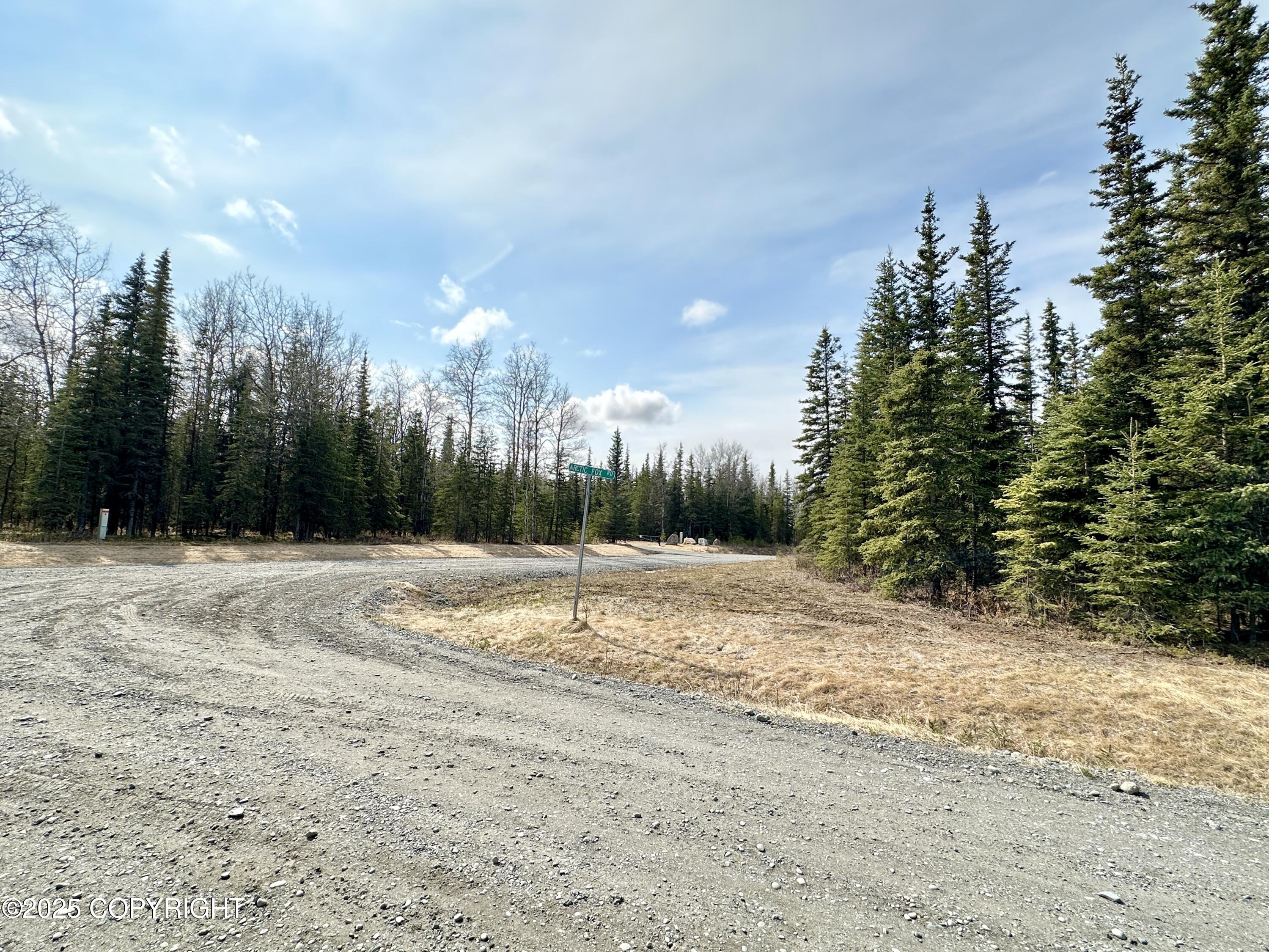 25006 Silver Fox Drive, Kasilof, Alaska image 13