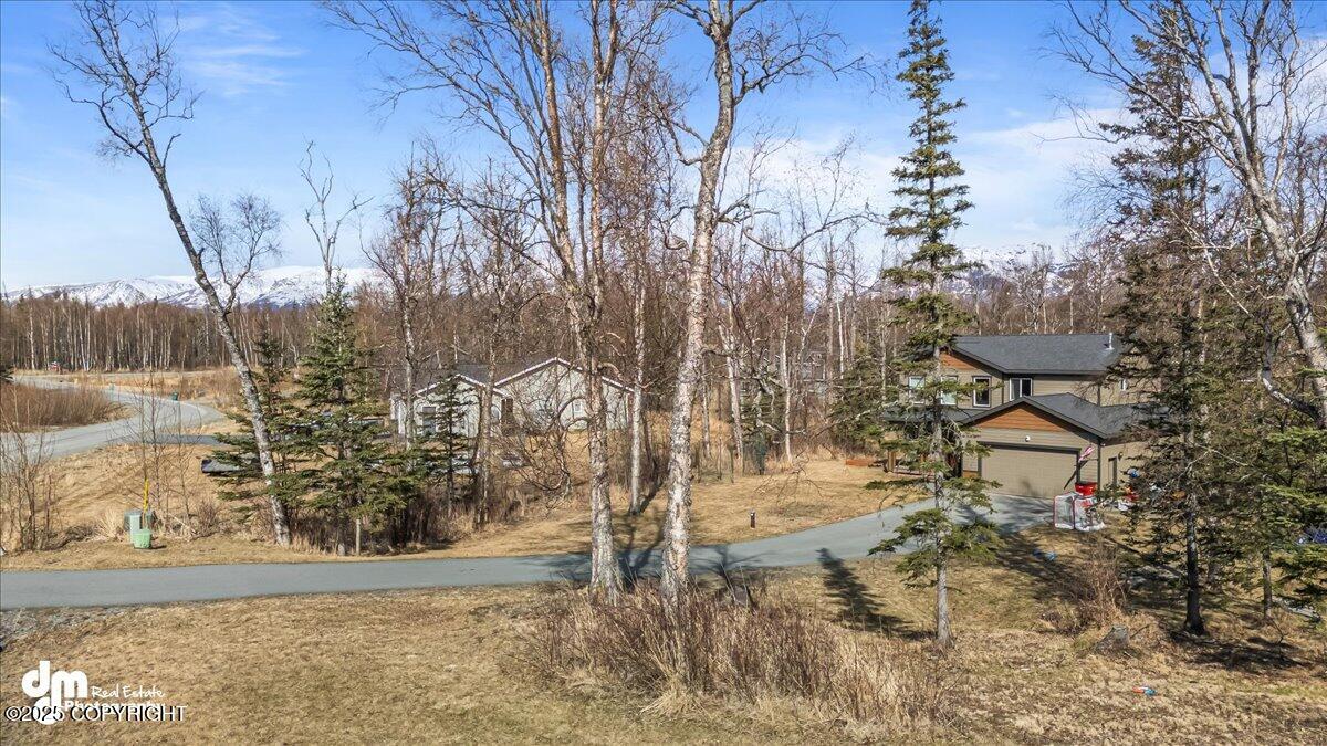6230 N Crupperdock Drive, Palmer, Alaska image 4