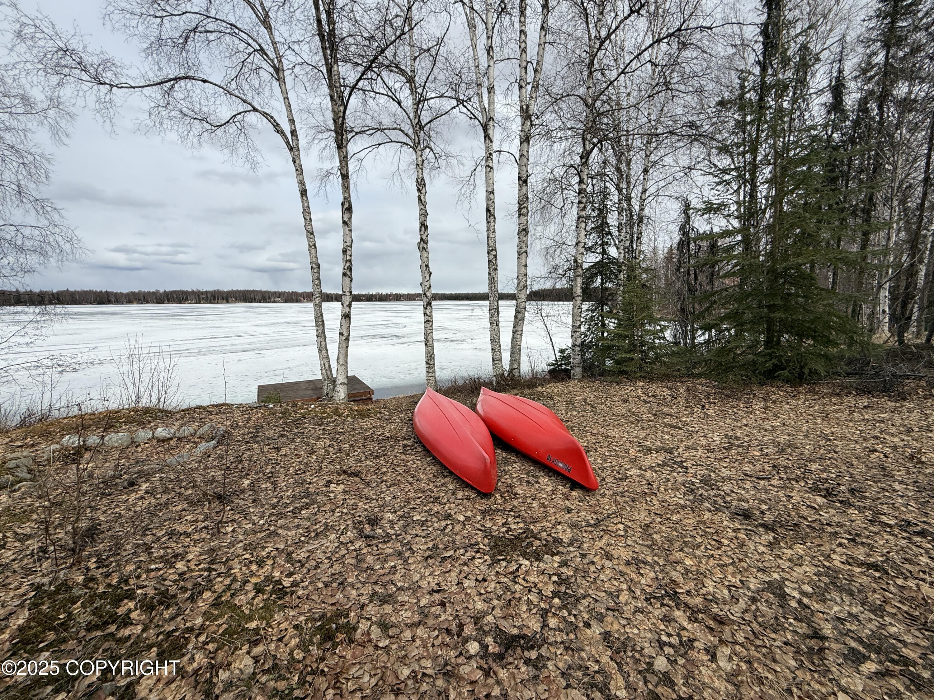25643 W Southlake Drive, Willow, Alaska image 32