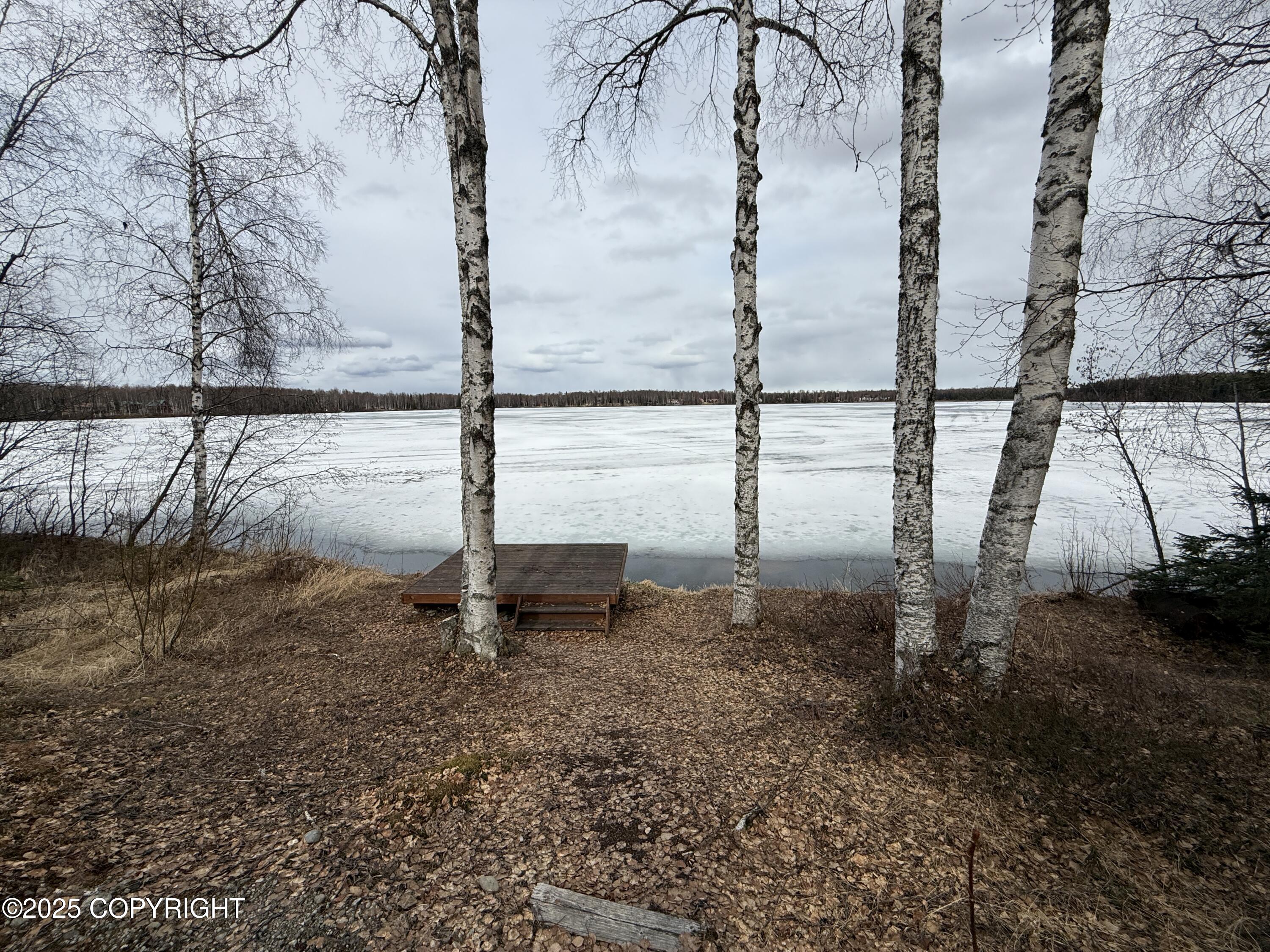 25643 W Southlake Drive, Willow, Alaska image 28