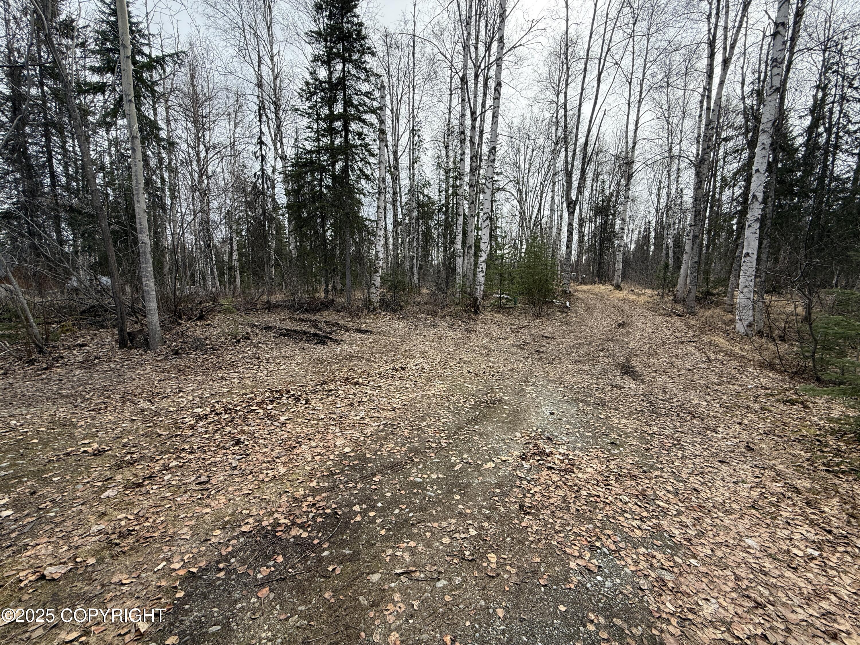 25643 W Southlake Drive, Willow, Alaska image 25