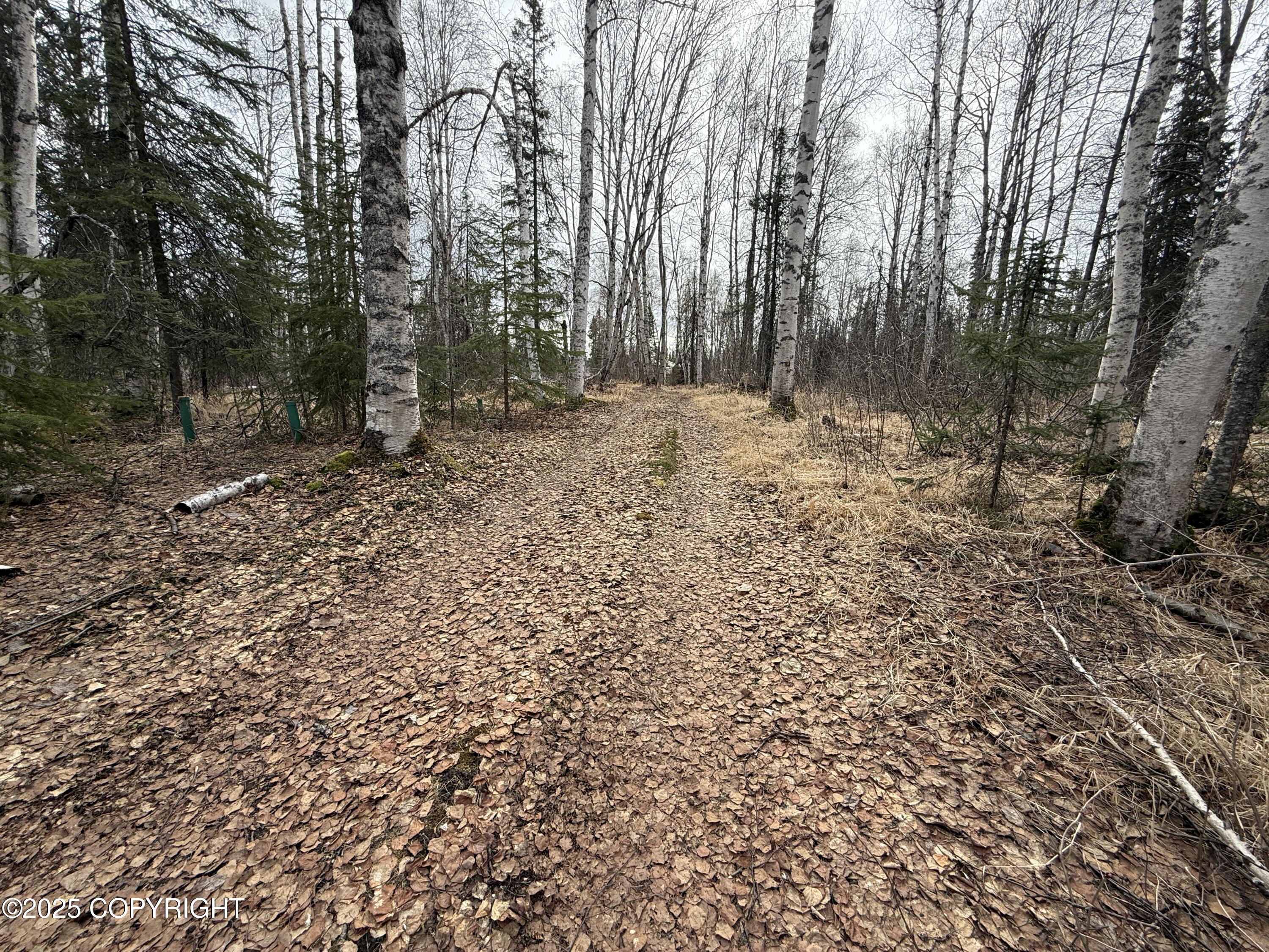 25643 W Southlake Drive, Willow, Alaska image 24