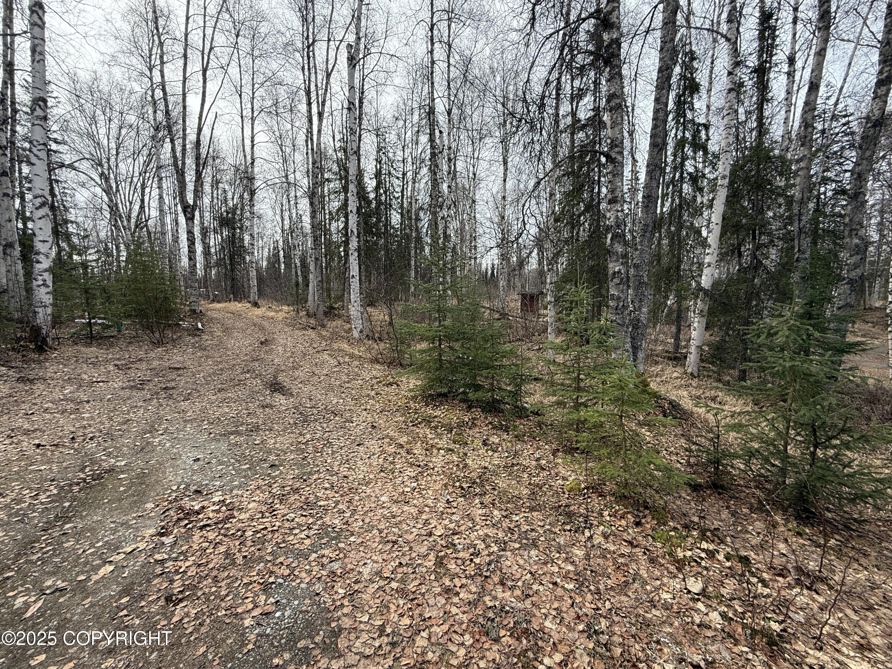 25643 W Southlake Drive, Willow, Alaska image 26