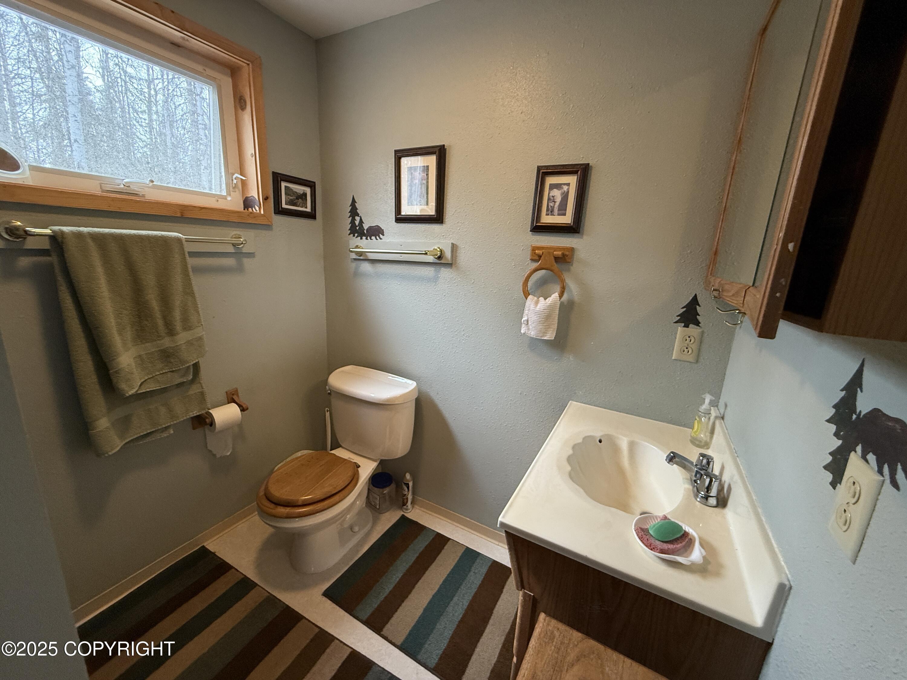 25643 W Southlake Drive, Willow, Alaska image 8