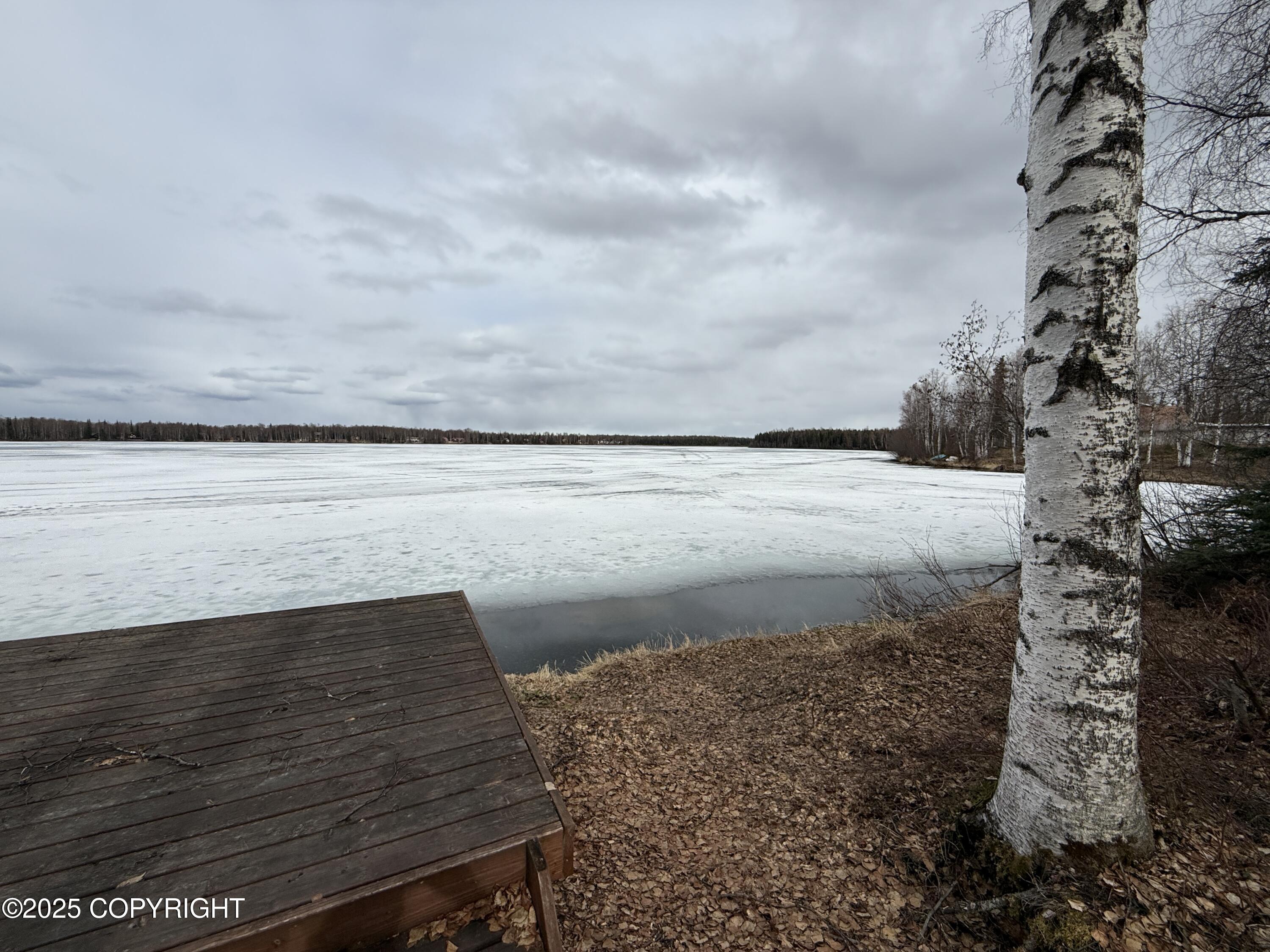 25643 W Southlake Drive, Willow, Alaska image 30