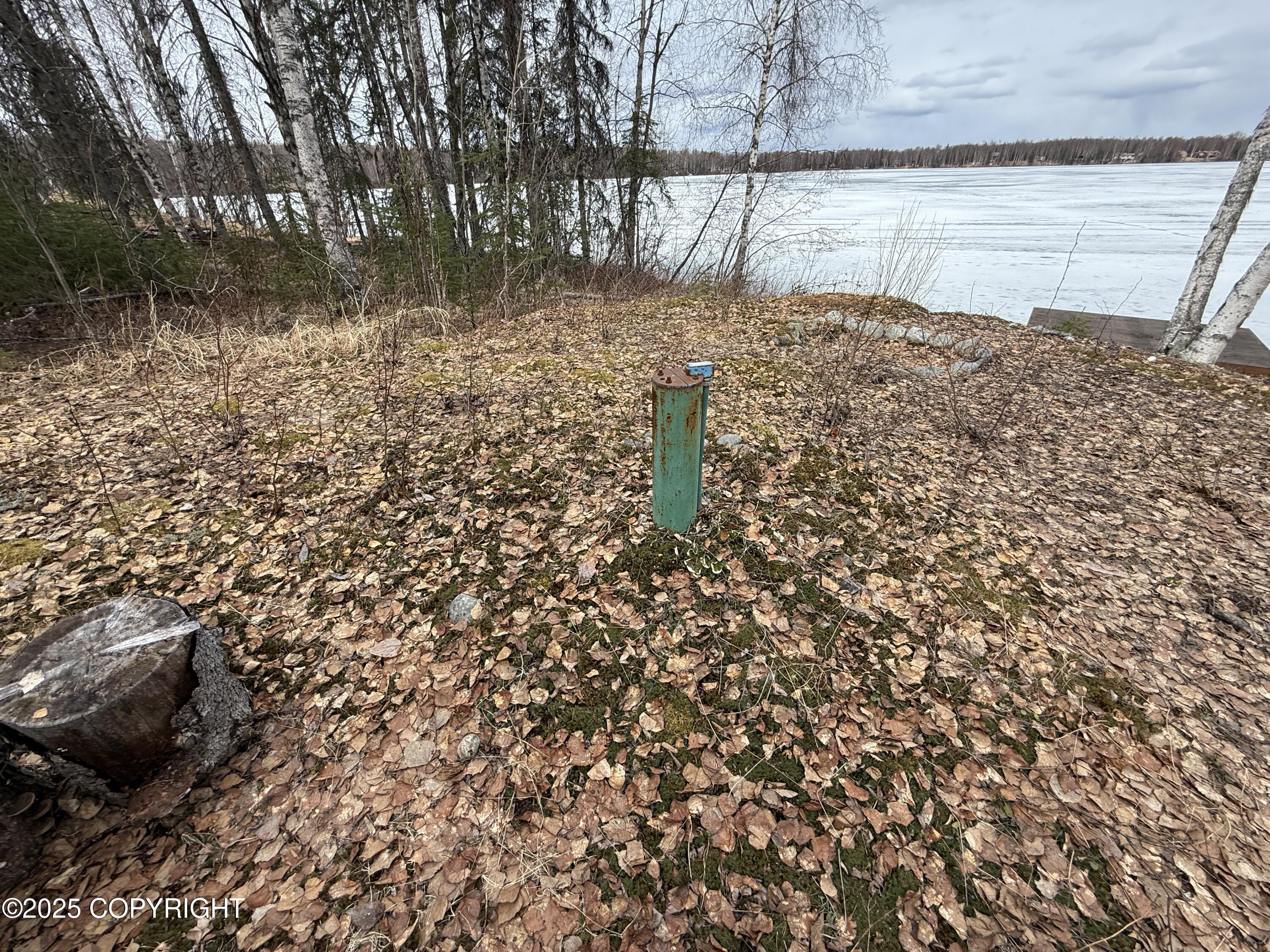 25643 W Southlake Drive, Willow, Alaska image 31