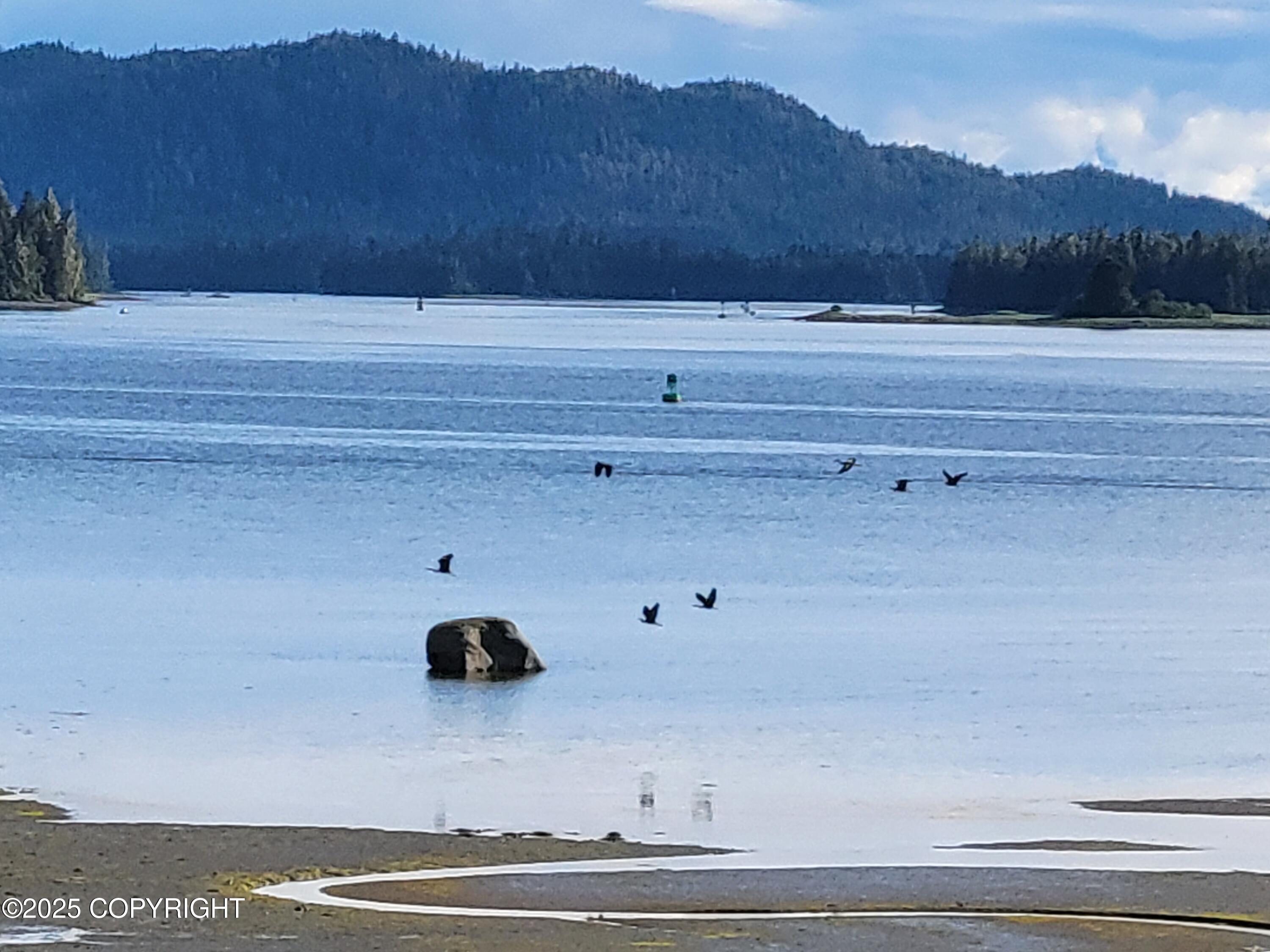 12 Mile South Mitkof Road, Petersburg, Alaska image 13