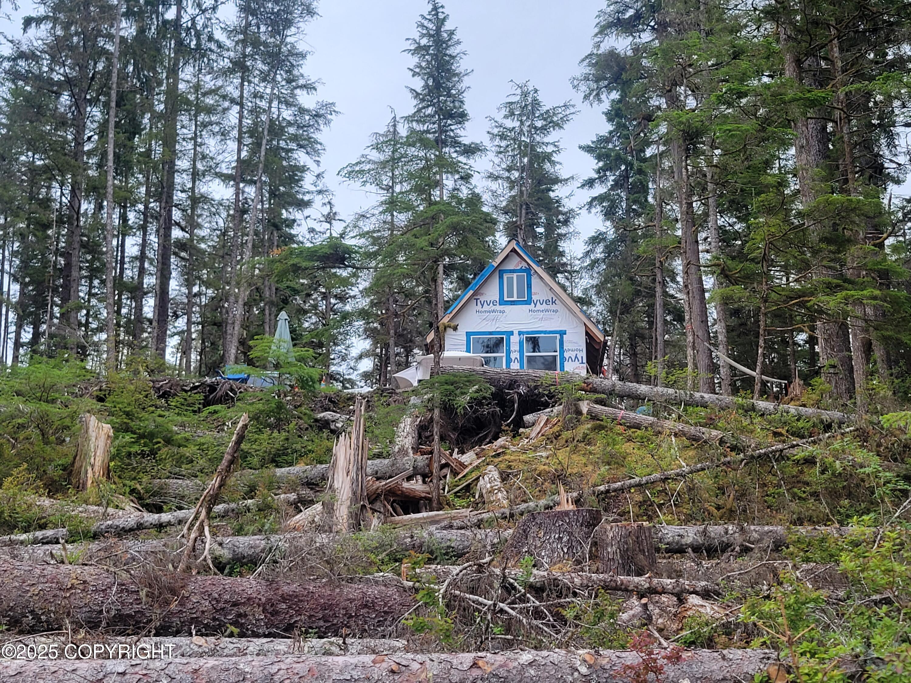 12 Mile South Mitkof Road, Petersburg, Alaska image 12
