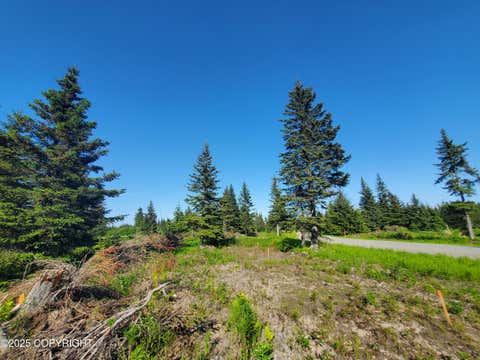 Vacant Land For Sale - 17573 Chefornak Street<br/> Ninilchik, AK 99556