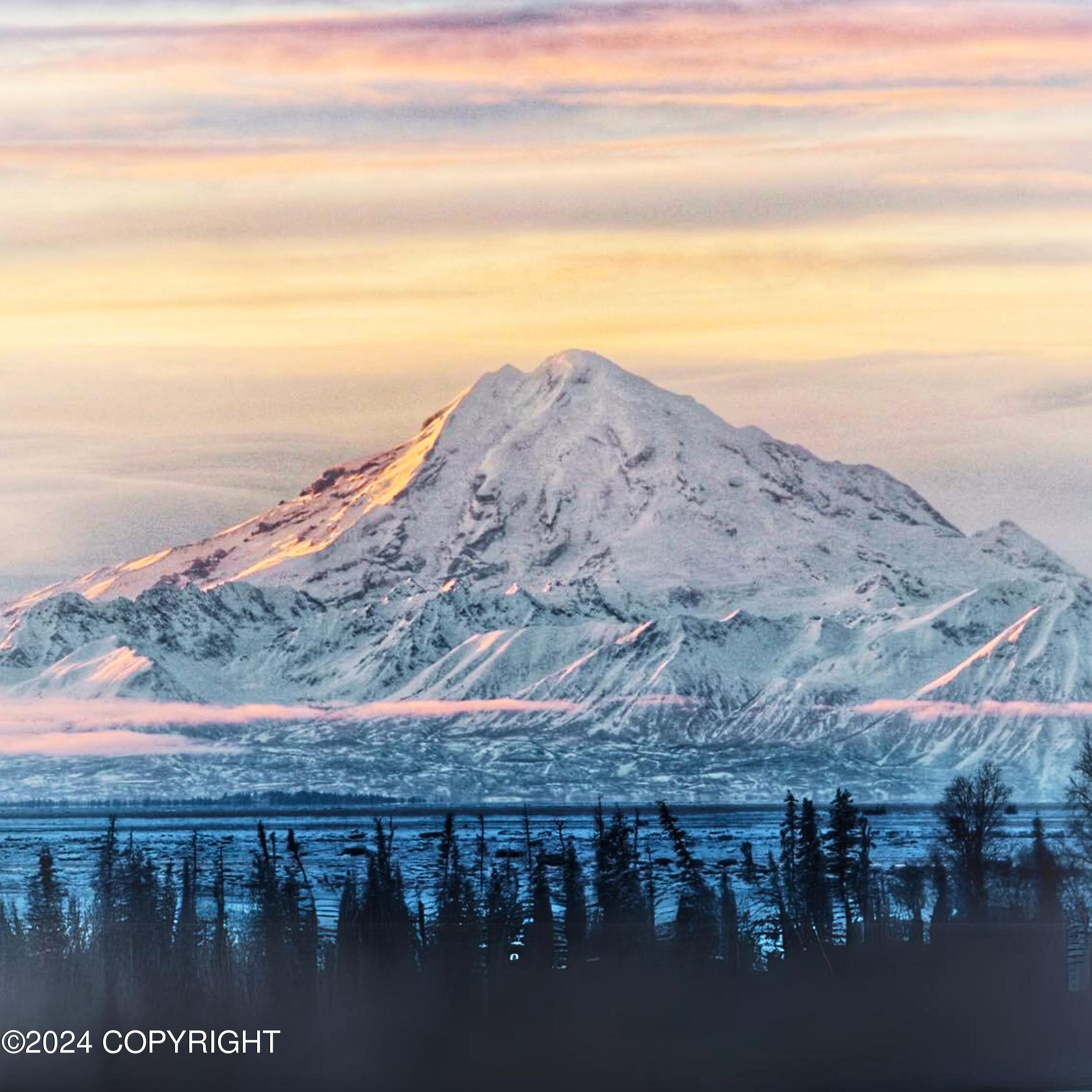 14374 Board Street, Clam Gulch, Alaska image 2