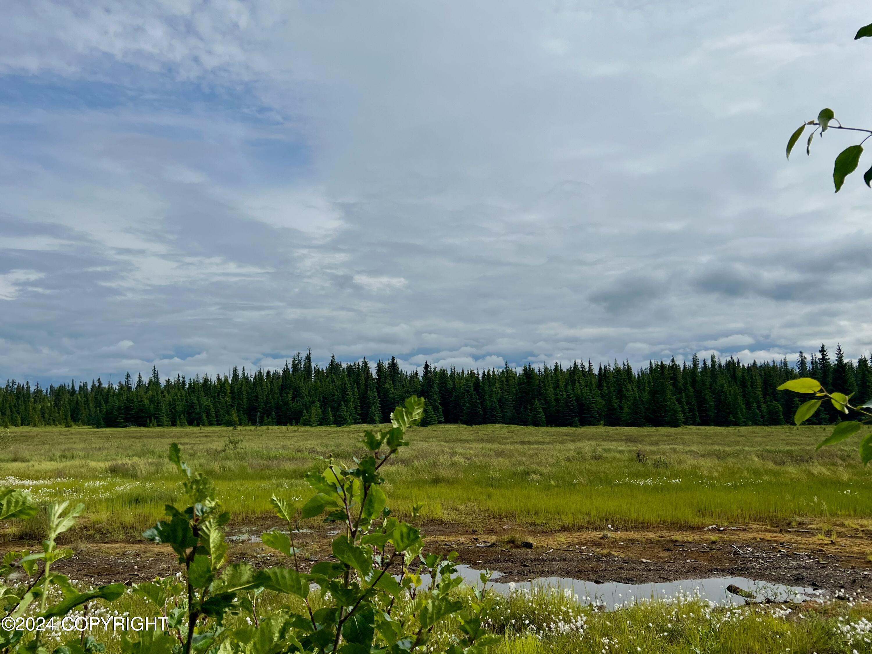 L3 Aquila Wings Road, Anchor Point, Alaska image 13