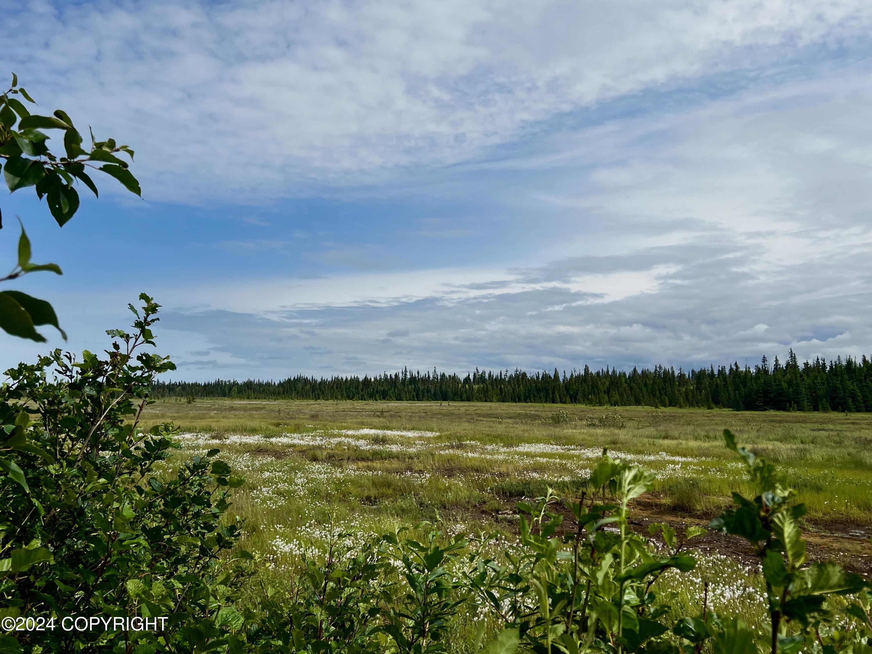 L3 Aquila Wings Road, Anchor Point, Alaska image 9