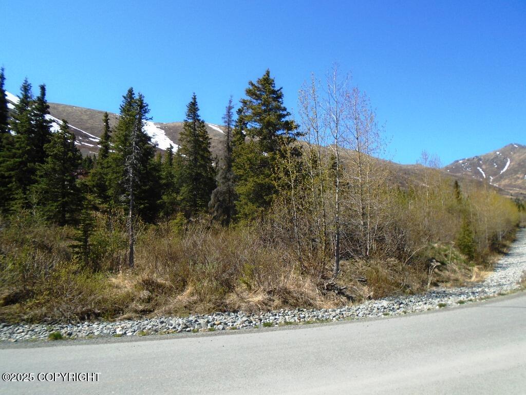 Lot 1 N West River Drive #9, Eagle River, Alaska image 3