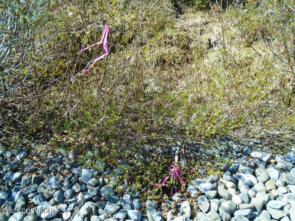 Lot 1 N West River Drive #9, Eagle River, Alaska image 5