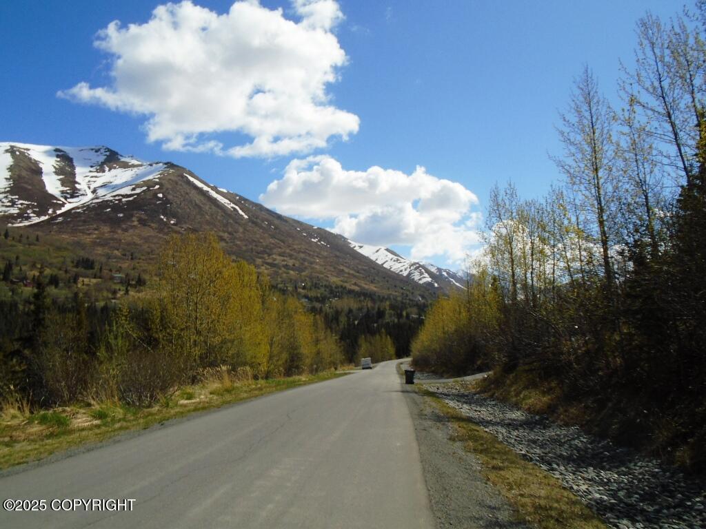 Lot 1 N West River Drive #9, Eagle River, Alaska image 10