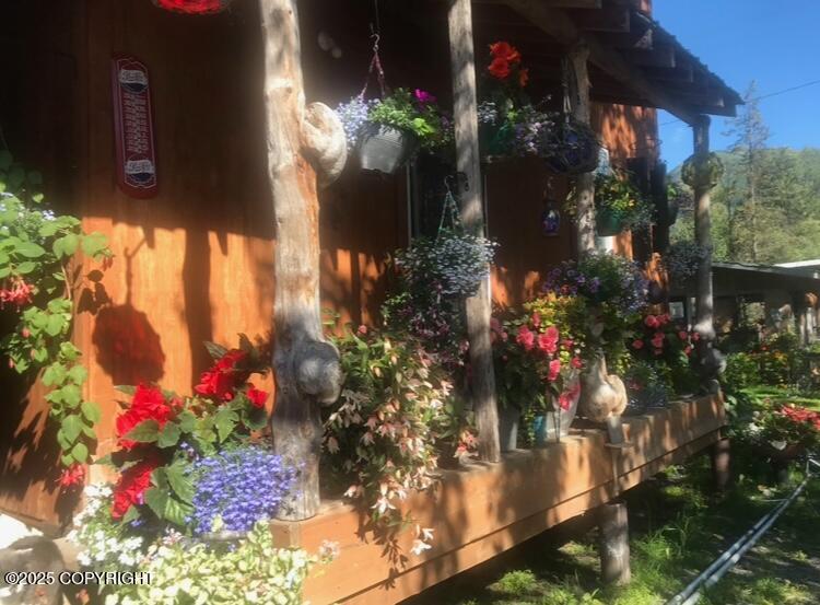 282 Main Street, Girdwood, Alaska image 50