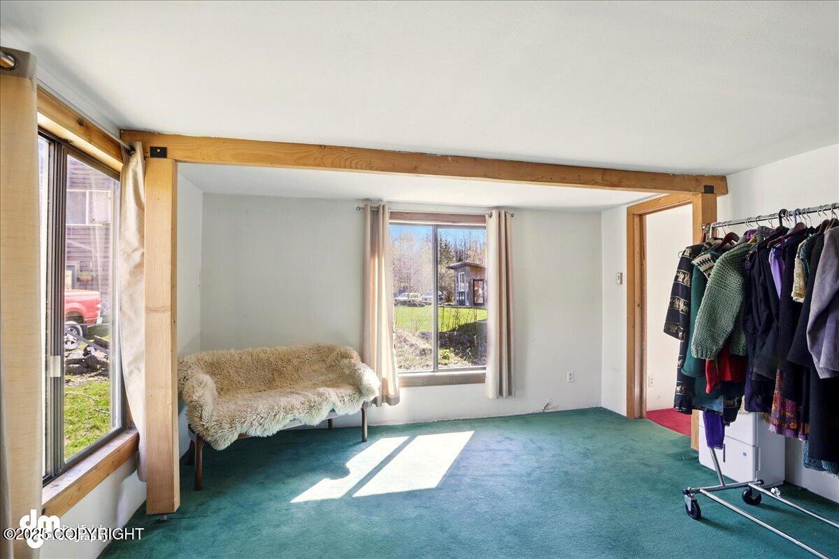 282 Main Street, Girdwood, Alaska image 35