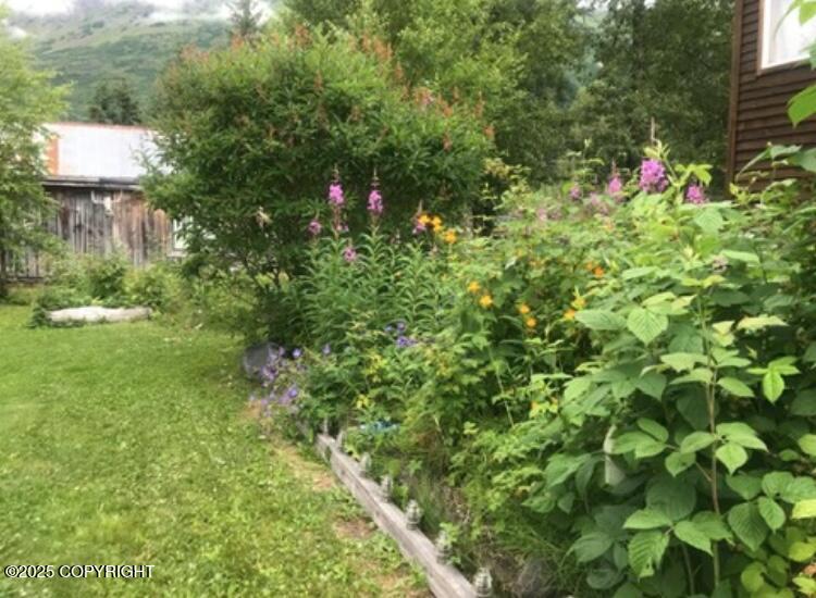 282 Main Street, Girdwood, Alaska image 48