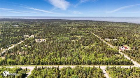 Photo of 28194 N Cohoe Loop Road, Kasilof, AK 99610 (MLS # 26-4934)