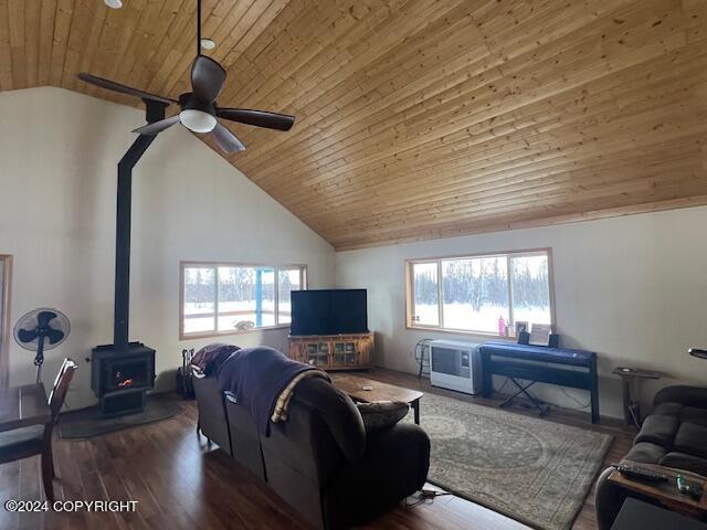 19264 S Bonita Loop, Trapper Creek, Alaska image 33