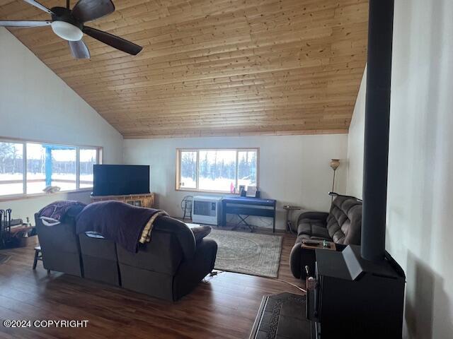 19264 S Bonita Loop, Trapper Creek, Alaska image 36