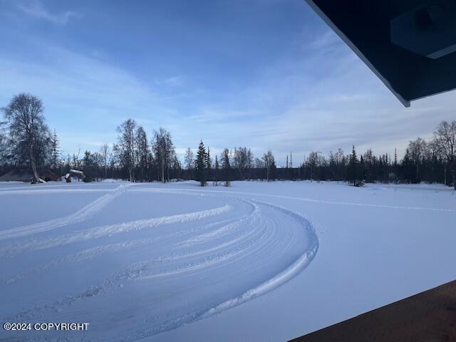 19264 S Bonita Loop, Trapper Creek, Alaska image 35