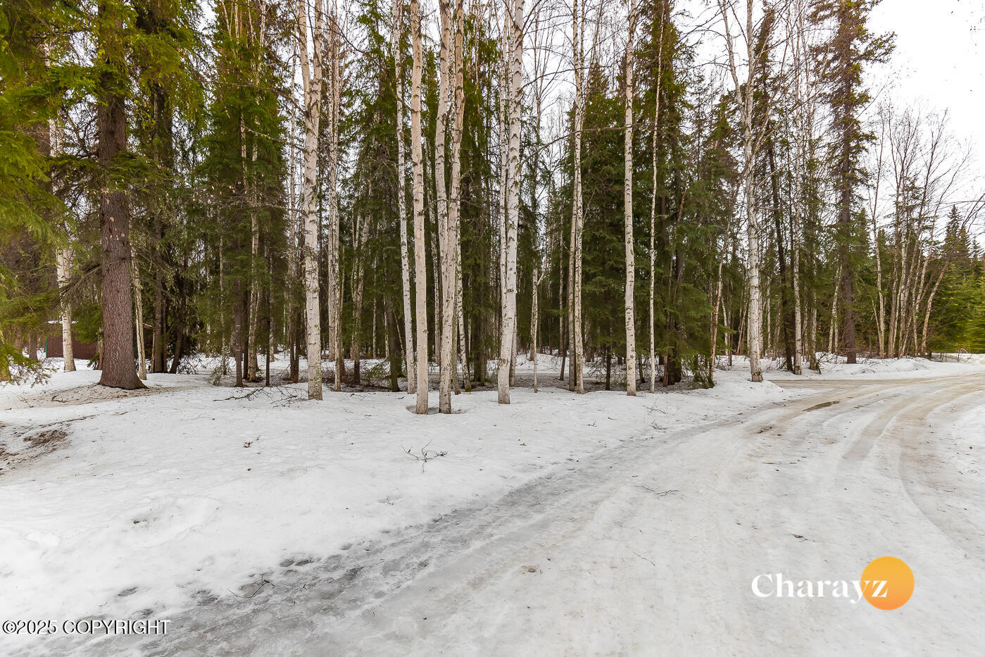 6004 N Old Valdez Trail Trail, Salcha, Alaska image 36