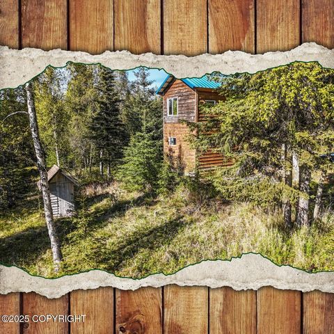 Homes For Sale - 63760 Elizabeth Avenue<br/> Ninilchik, AK 99639