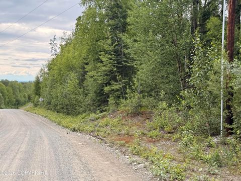 Photo of 21501 E Caswell Lakes Road, Willow, AK 99688 (MLS # 26-8304)
