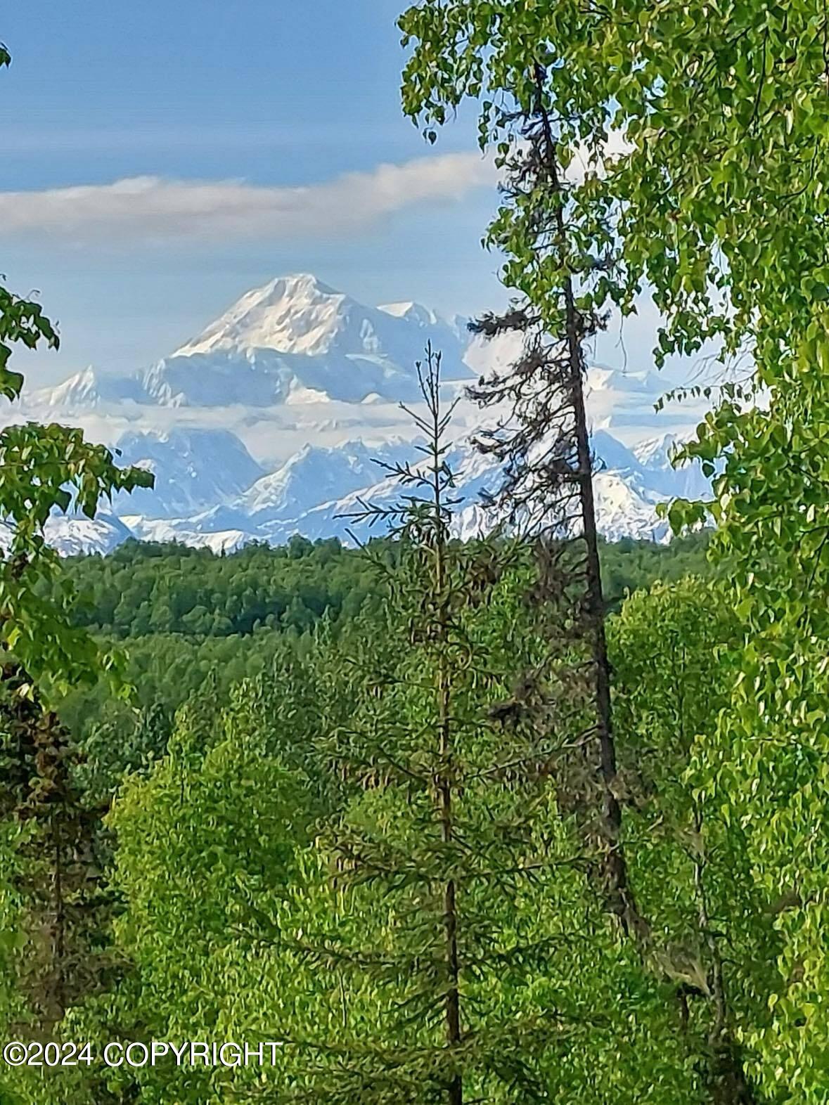 No Road W Talkeetna/chase Ave, Talkeetna, Alaska image 5