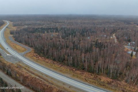Photo of 45789 S Jassue Drive, Talkeetna, AK 99676 (MLS # 26-3956)