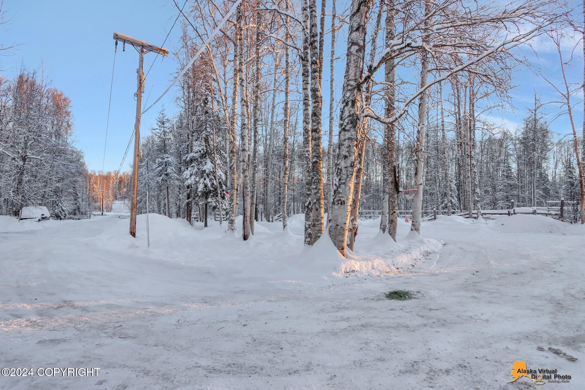 32500 Talkeetna Spur Road, Talkeetna, Alaska image 37