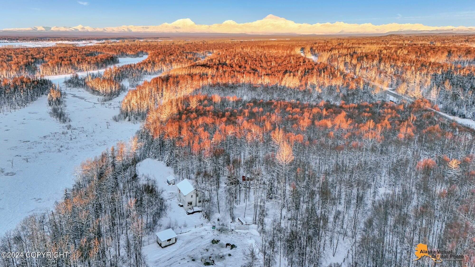 32500 Talkeetna Spur Road, Talkeetna, Alaska image 40