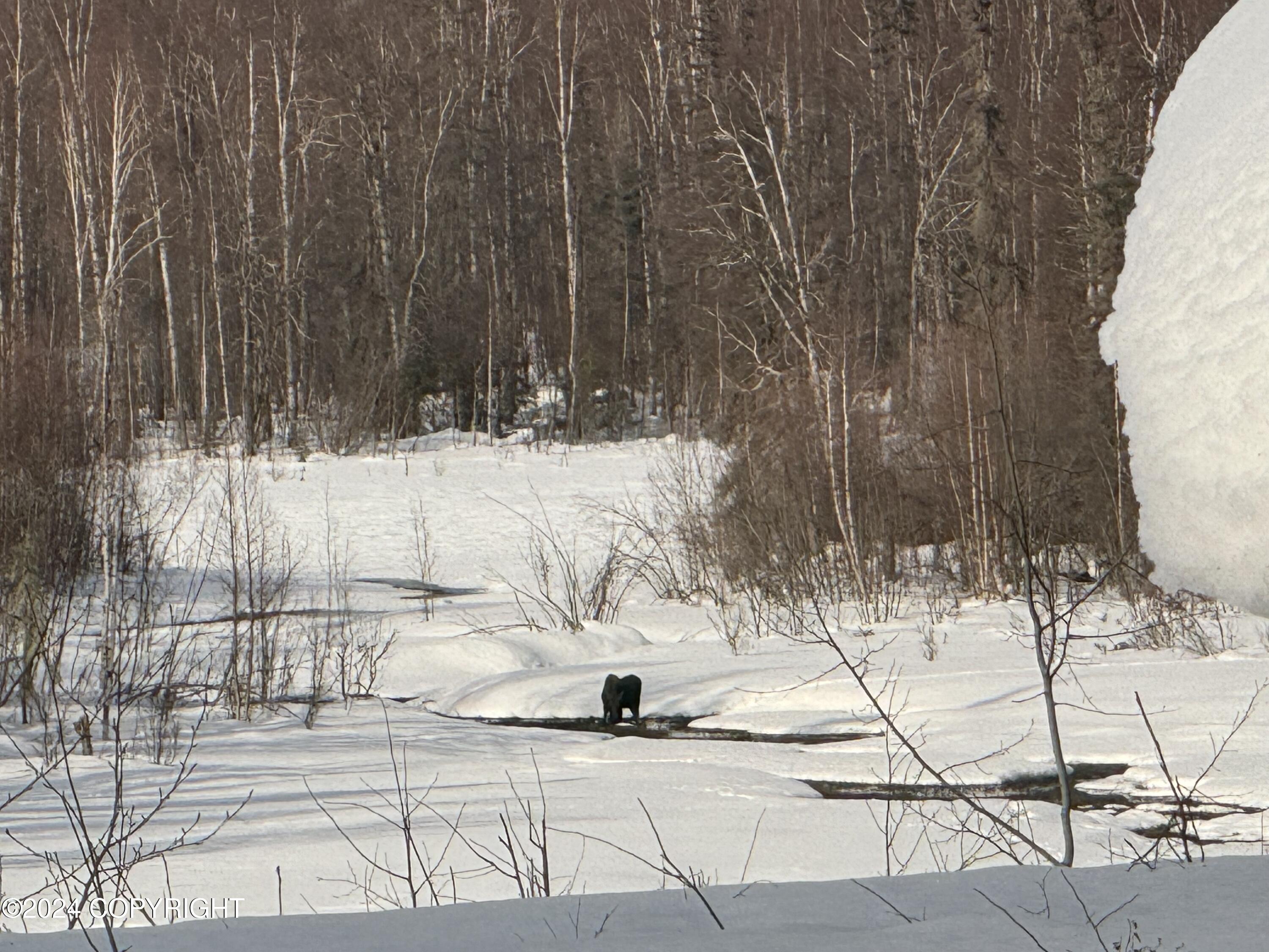 32500 Talkeetna Spur Road, Talkeetna, Alaska image 8