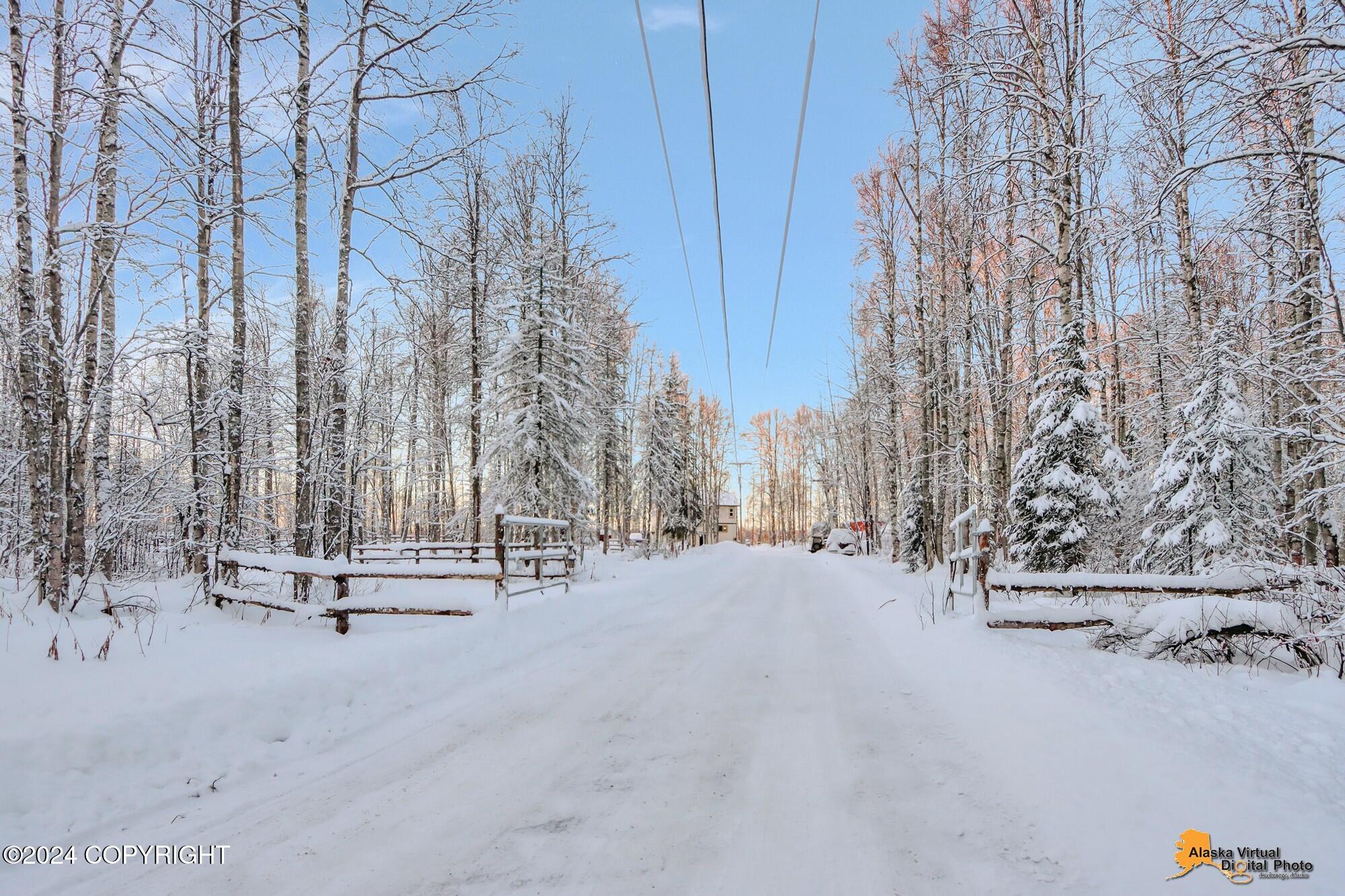 32500 Talkeetna Spur Road, Talkeetna, Alaska image 28