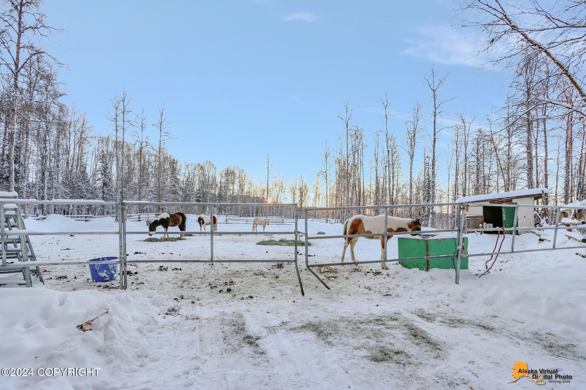 32500 Talkeetna Spur Road, Talkeetna, Alaska image 32