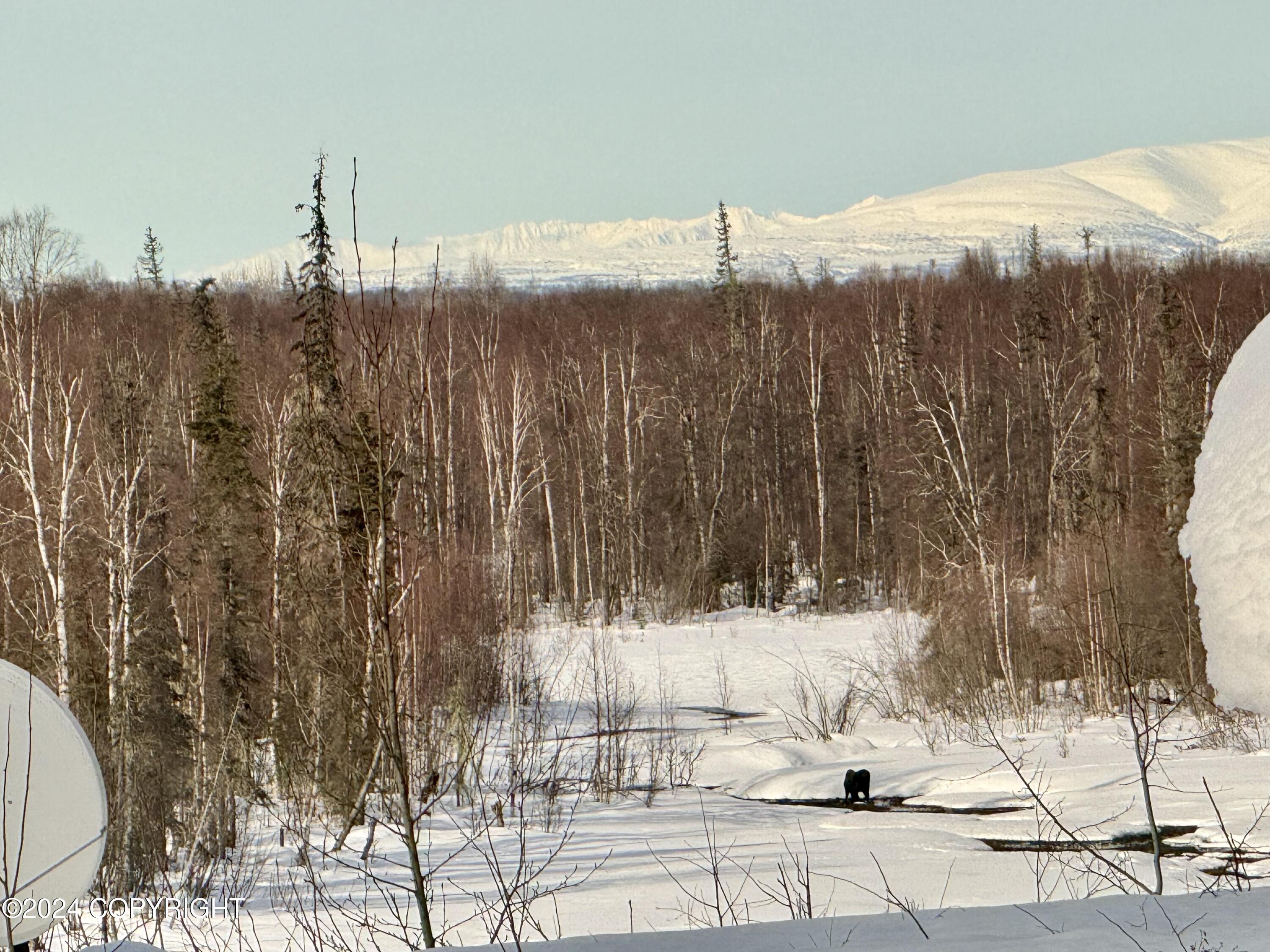 32500 Talkeetna Spur Road, Talkeetna, Alaska image 9