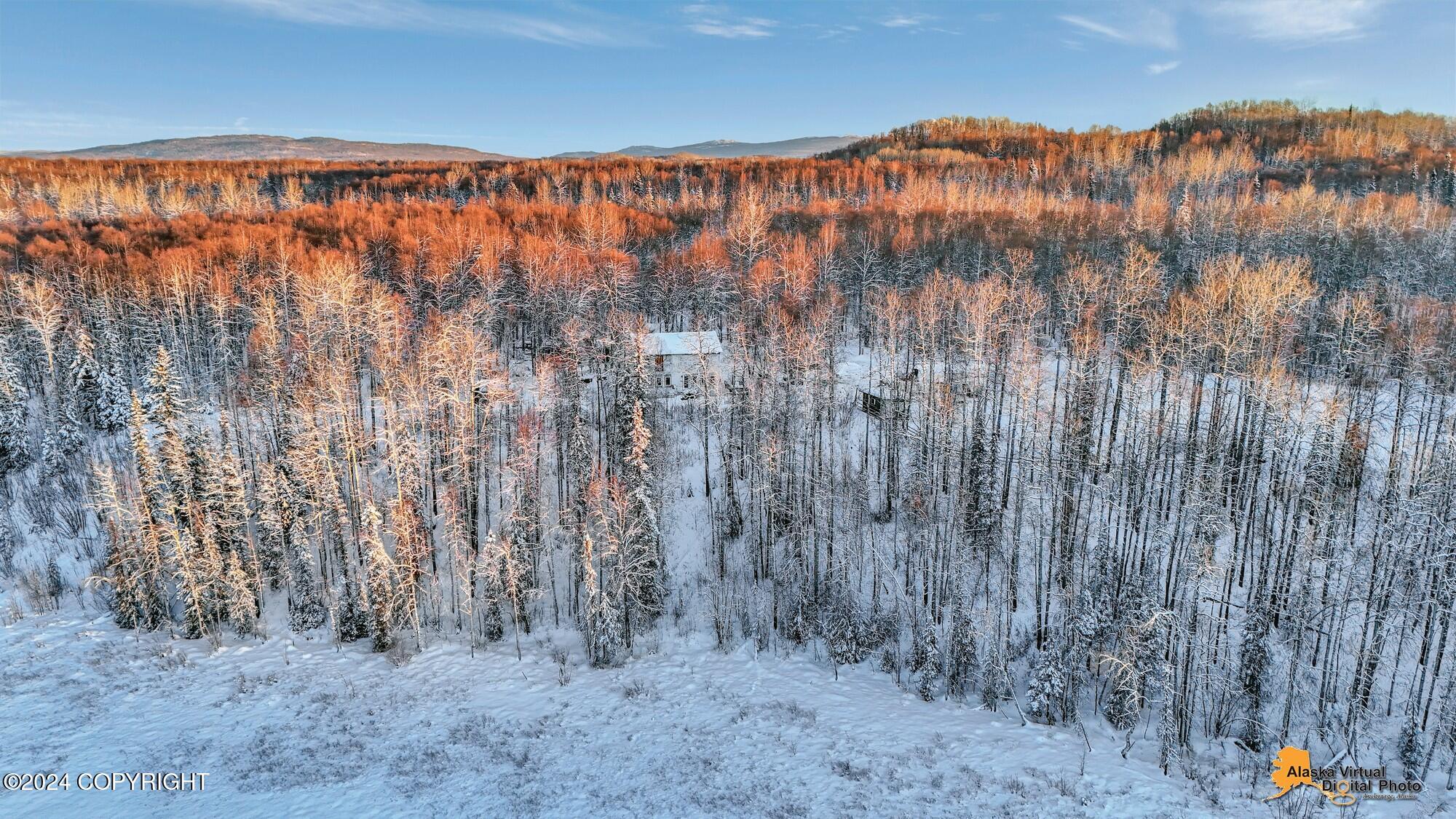 32500 Talkeetna Spur Road, Talkeetna, Alaska image 22