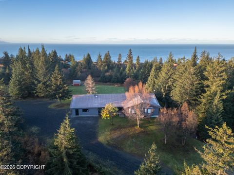 Photo of 67832 Green Timbers Road, Homer, AK 99603 (MLS # 26-5935)