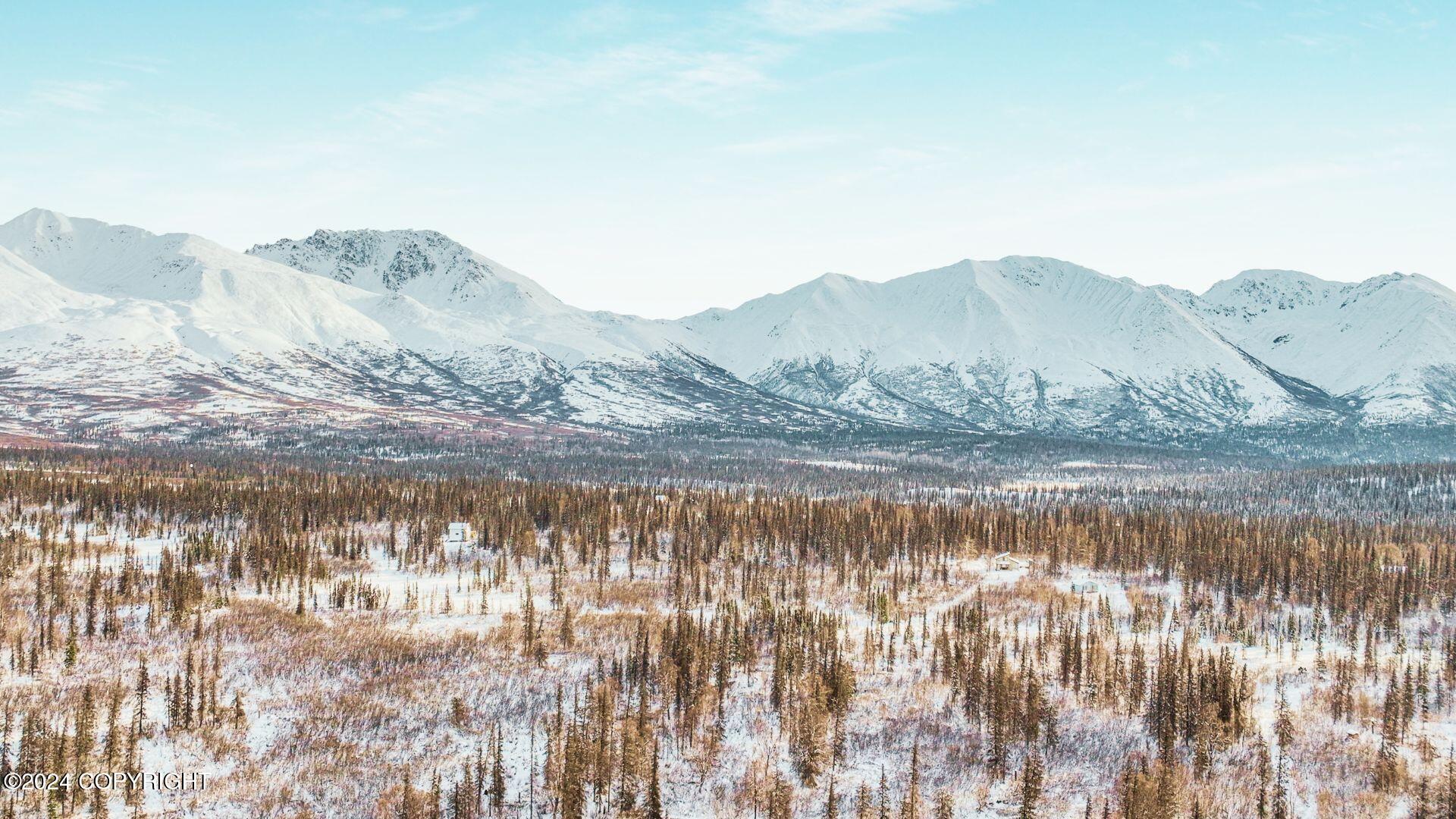 E Round Top Road, Talkeetna, Alaska image 2