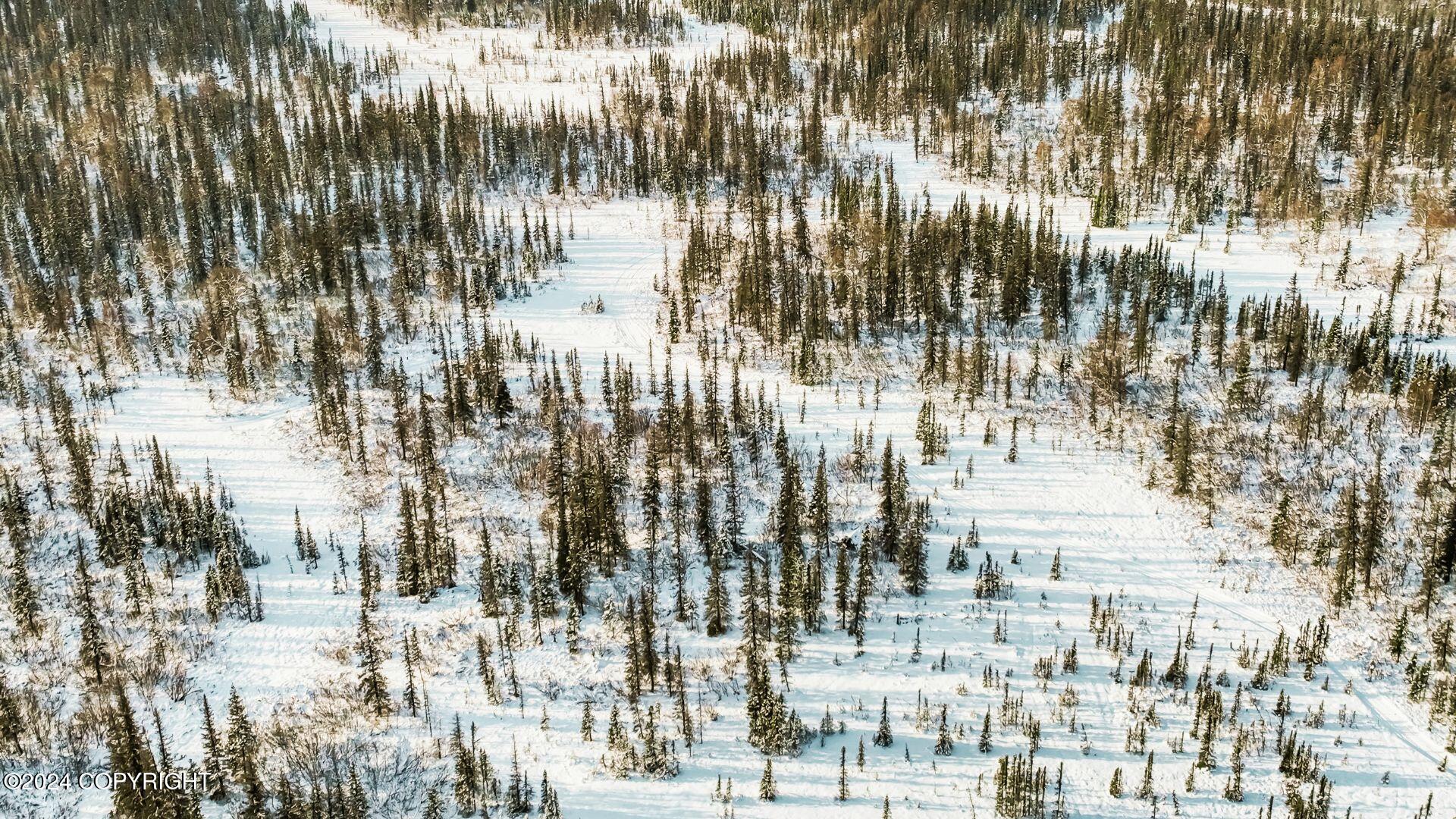 E Round Top Road, Talkeetna, Alaska image 5