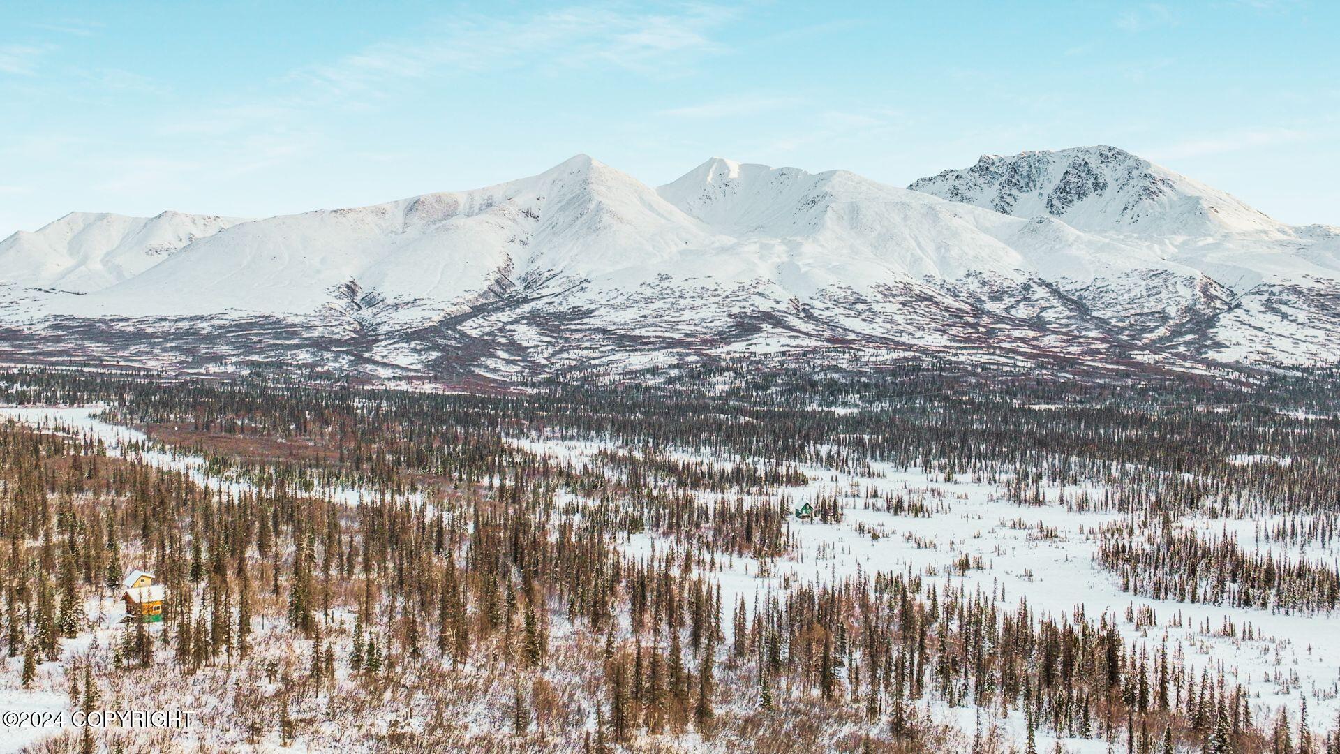 E Round Top Road, Talkeetna, Alaska image 1