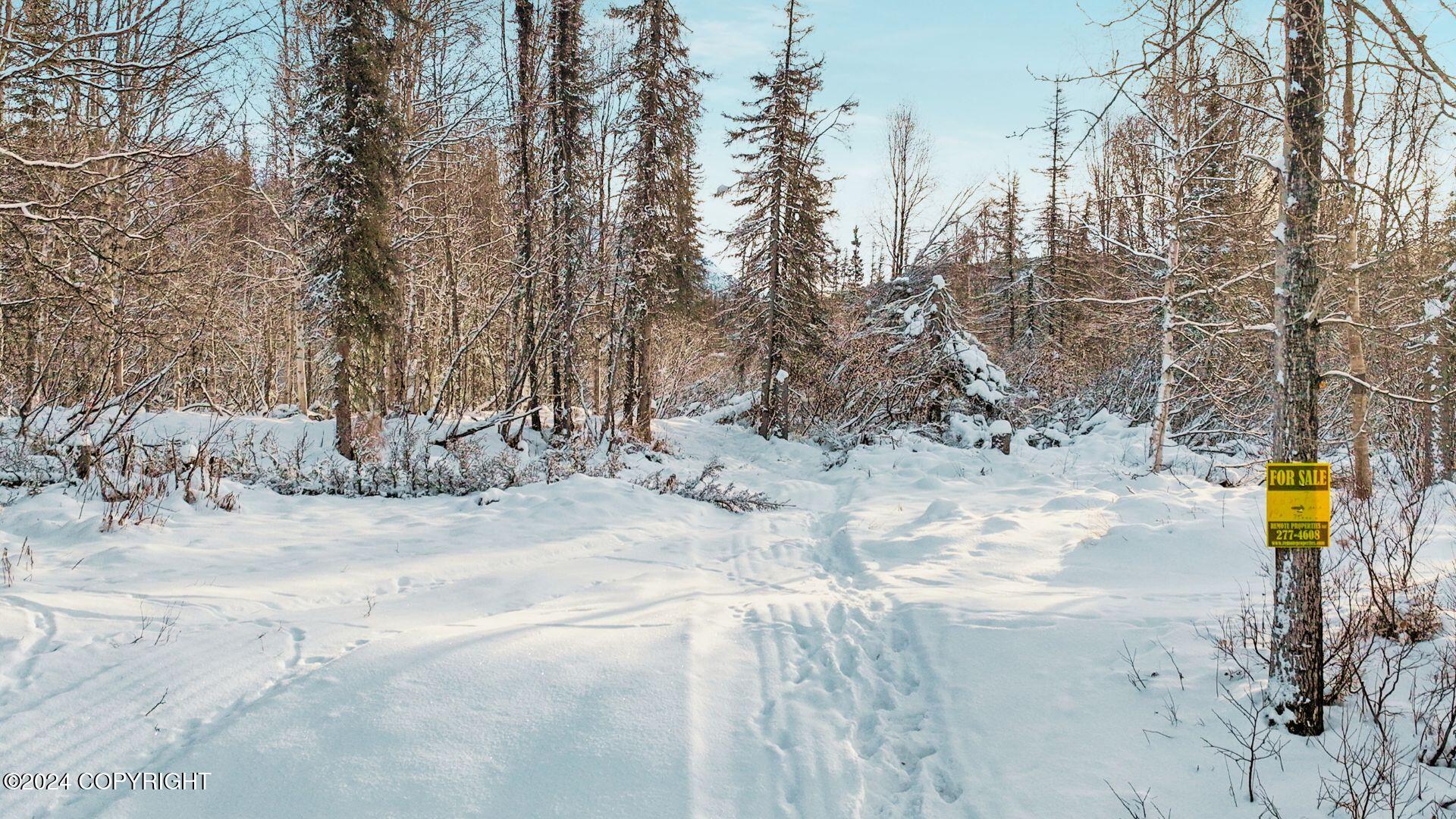 E Round Top Road, Talkeetna, Alaska image 6