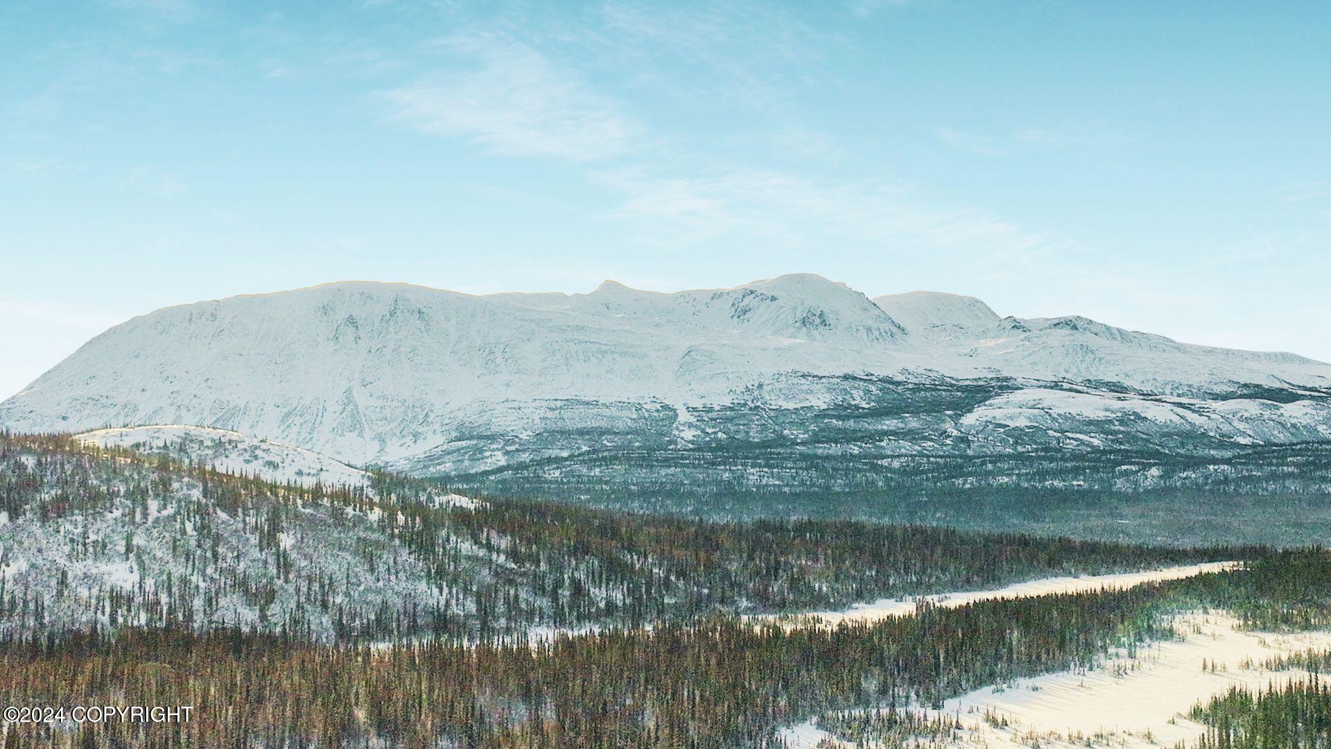 E Round Top Road, Talkeetna, Alaska image 3