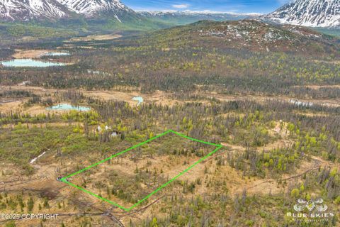 Vacant Land For Sale - E Round Top Road<br/> Talkeetna, AK 99676
