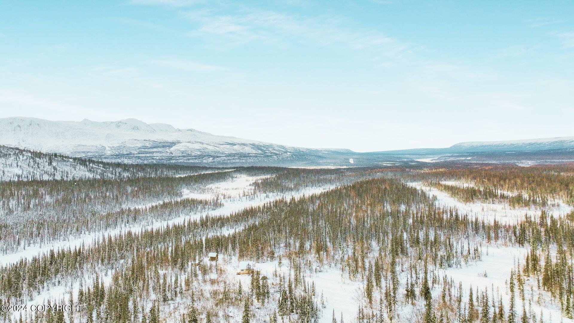 E Round Top Road, Talkeetna, Alaska image 4