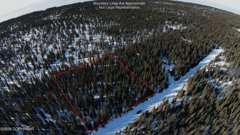 Vacant Land For Sale - L3 Marlene Drive<br/> Kasilof, AK 99610